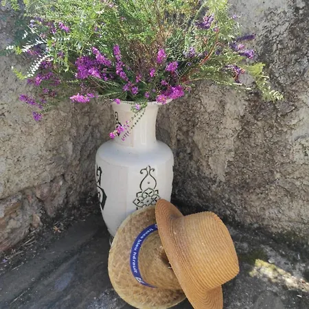 Ancienne Bergerie De Torteillan Combes